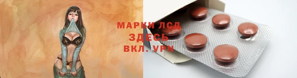гашик Алексеевка