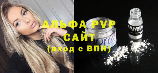 гашик Алексеевка