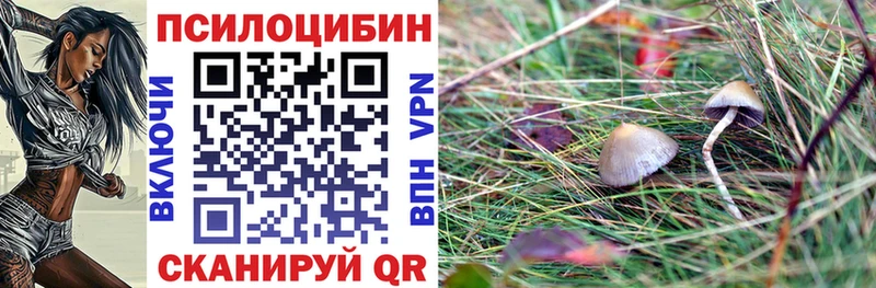 Псилоцибиновые грибы Magic Shrooms  купить закладку  Анадырь 